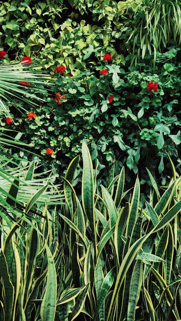 types of information